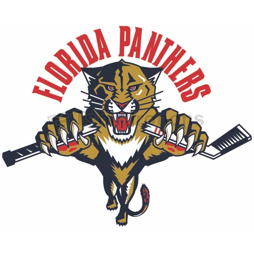 Florida Panthers T-shirts Iron On Transfers N163 - Click Image to Close